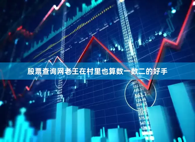 股票查询网老王在村里也算数一数二的好手