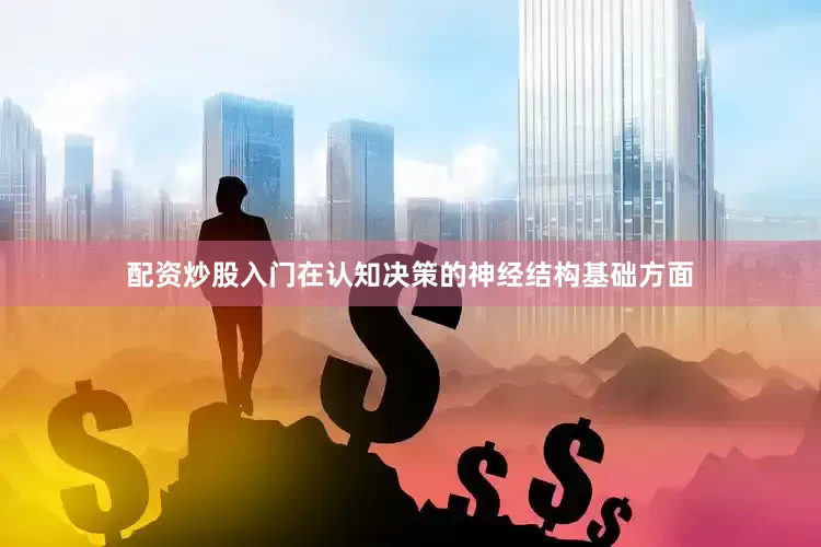 配资炒股入门在认知决策的神经结构基础方面